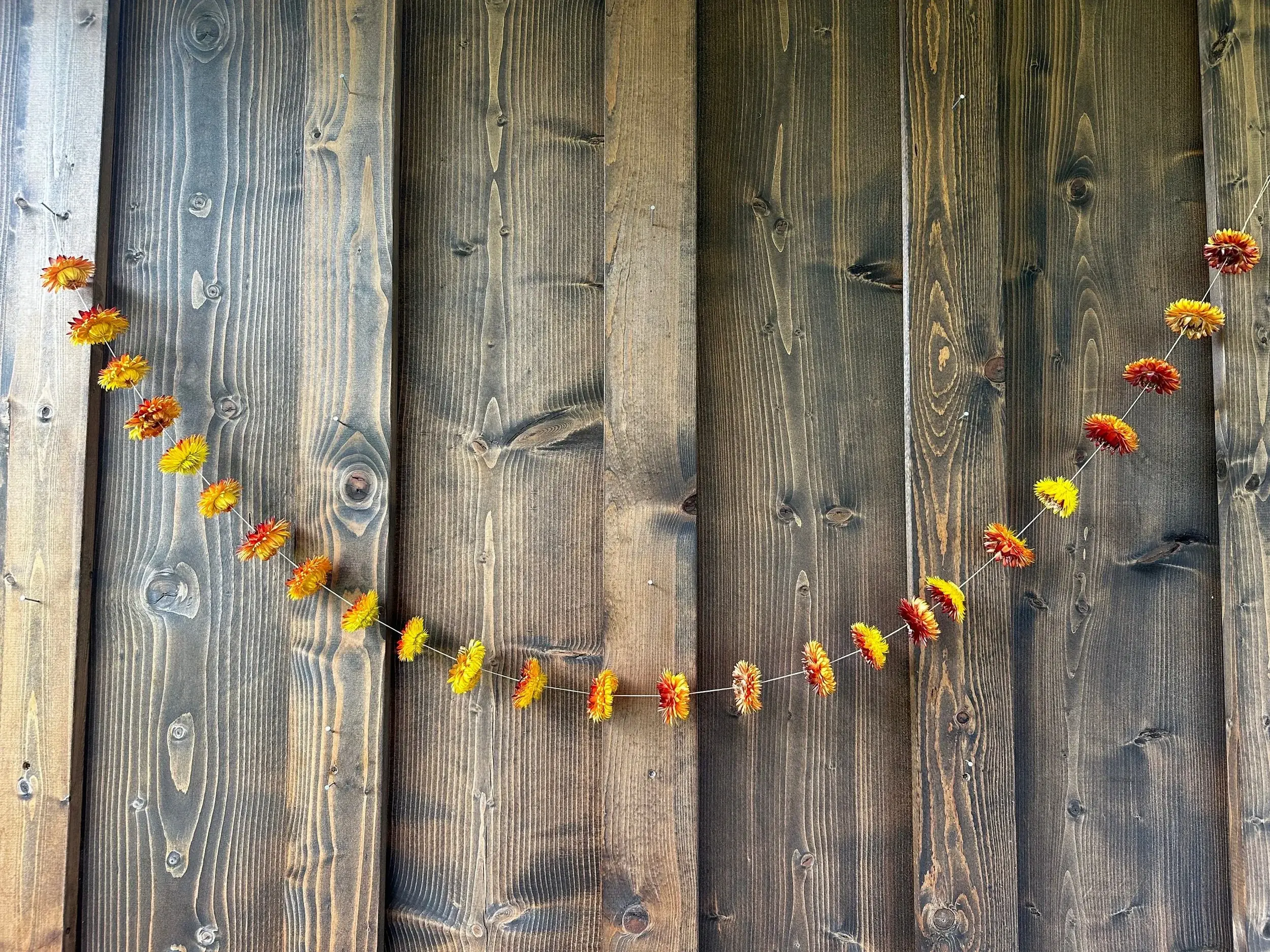 Gallup Homestead - Wholesale Bunting/Garland - Dried Orange Strawflower Garland1