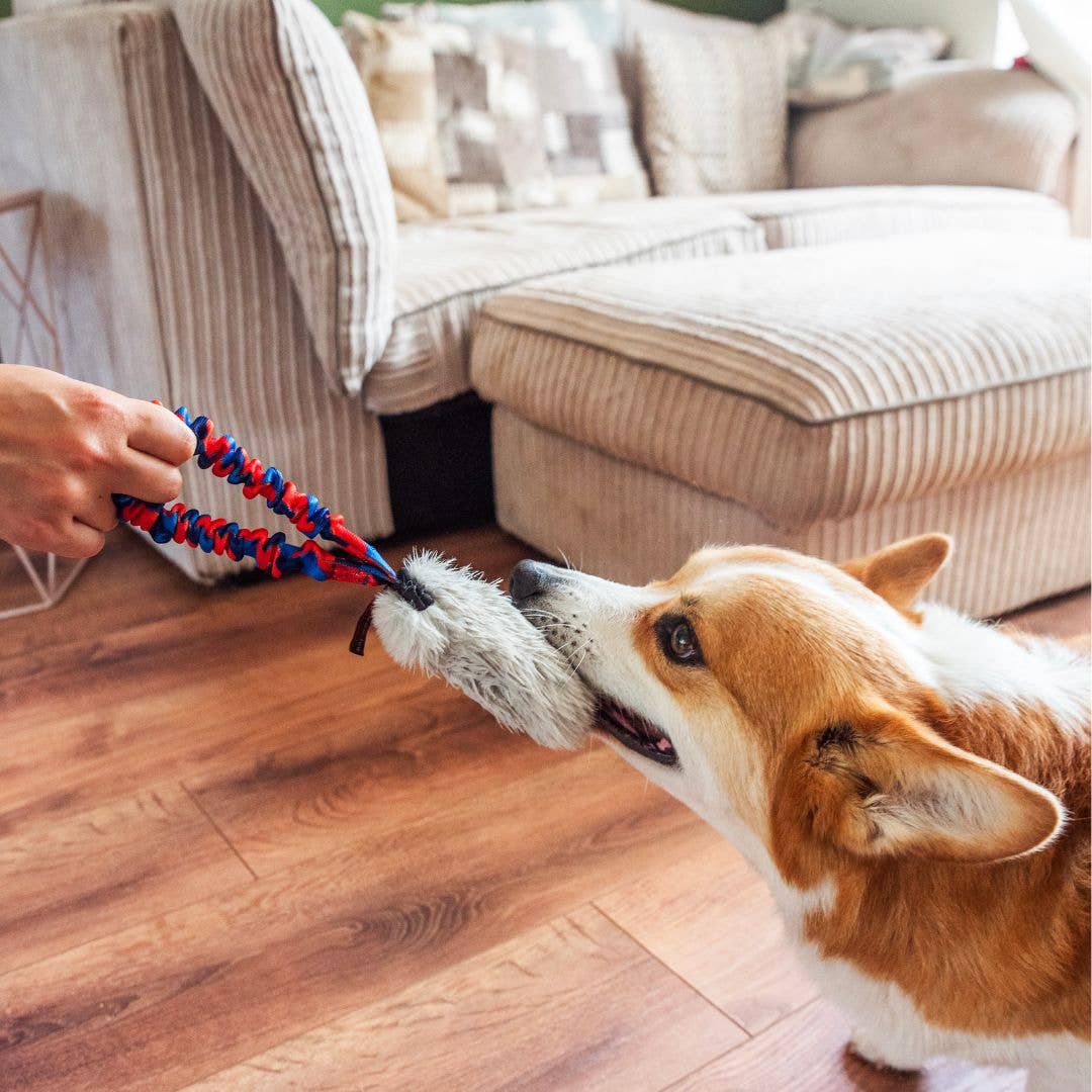 Tug-E-Nuff - Wholesale Pet Squeaky Toy - Dog - Faux Fur Pocket Bungee Squeaker | Squeaky Toys | Tug-E-Nuff5