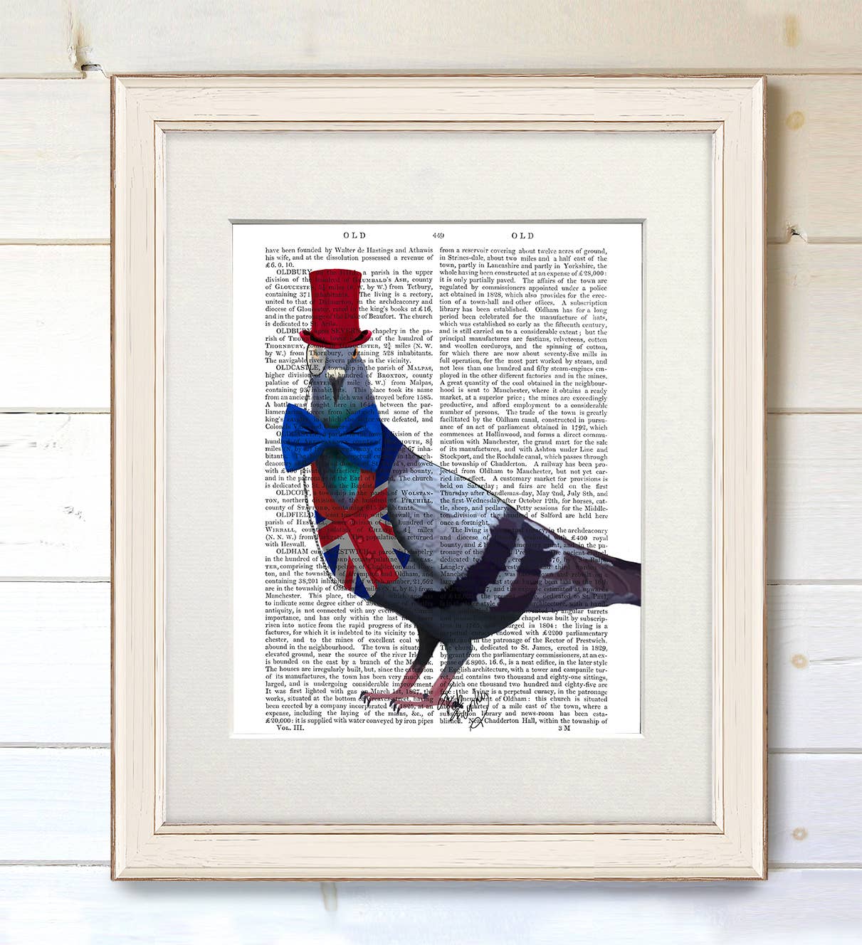 FabFunky Ltd - Wholesale Art Print - London Pigeon, Bird Book Print / Art Print / Wall Art1