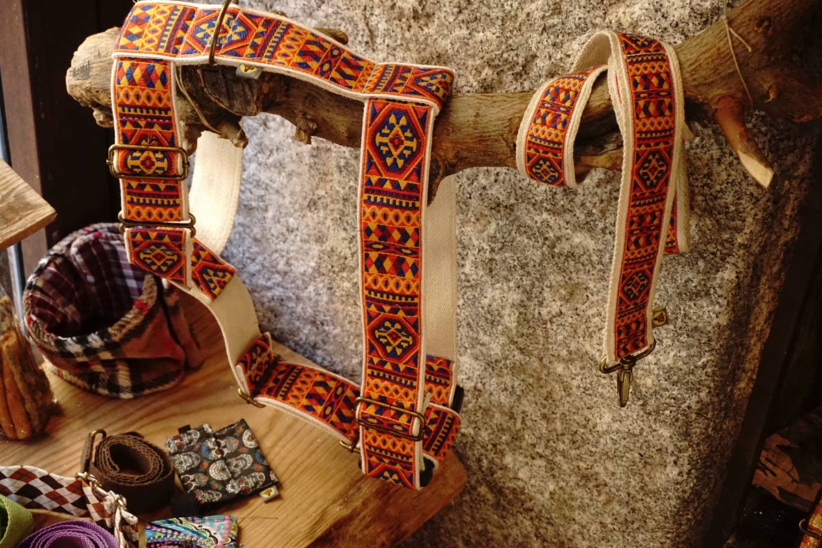 hundsfutter - Wholesale Pet Harness - Dog - "Ruben" dog harness and leash3