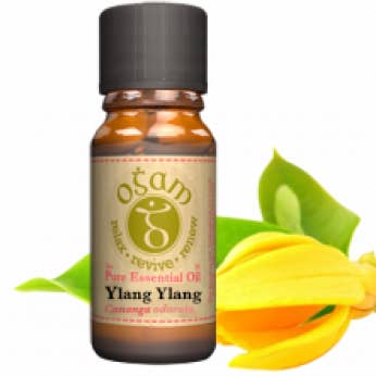 Ylang Ylang pour la vente par Ogam Oils