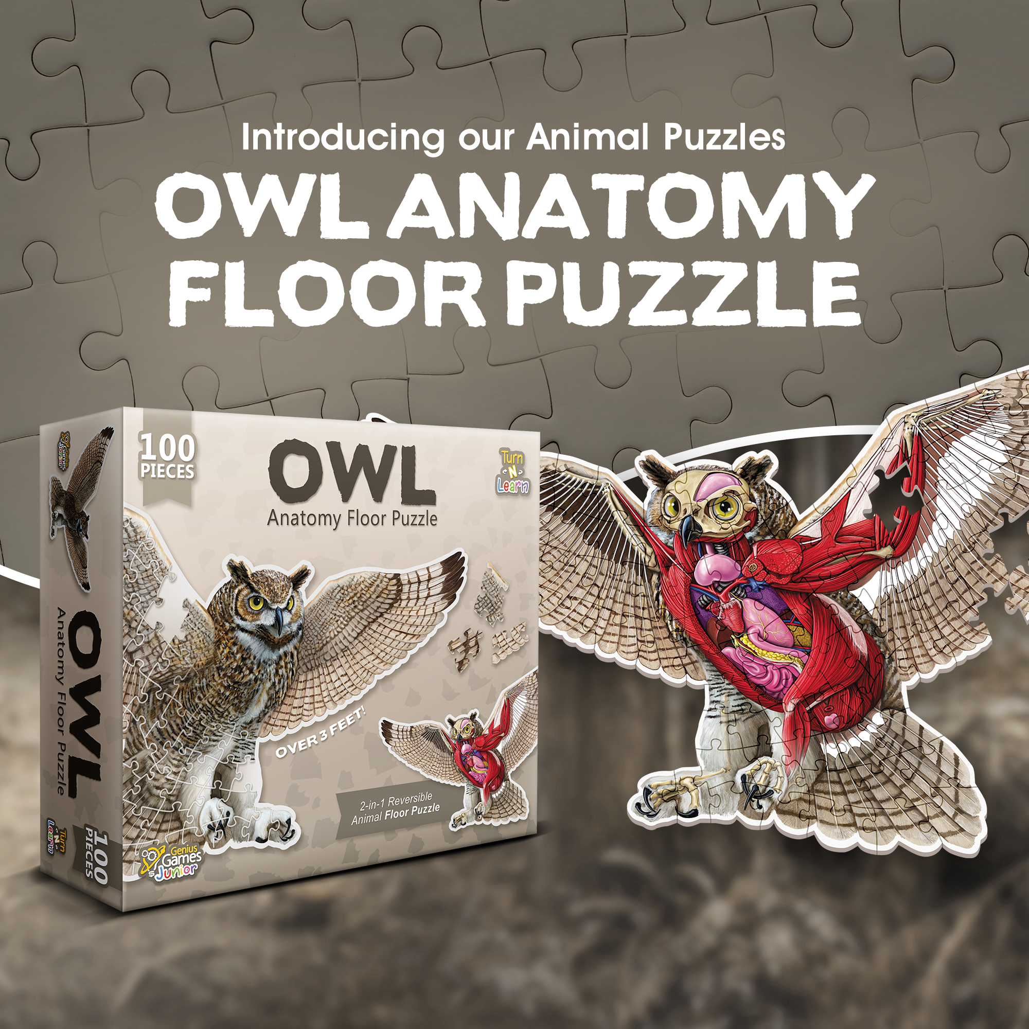 Genius Games - Wholesale Puzzle - Kids - Turn N Learn: Owl Puzzle6