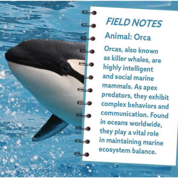 Masterpieces Puzzles - Wholesale Puzzle - Adult - Orca 100 Piece Shaped Jigsaw Puzzle