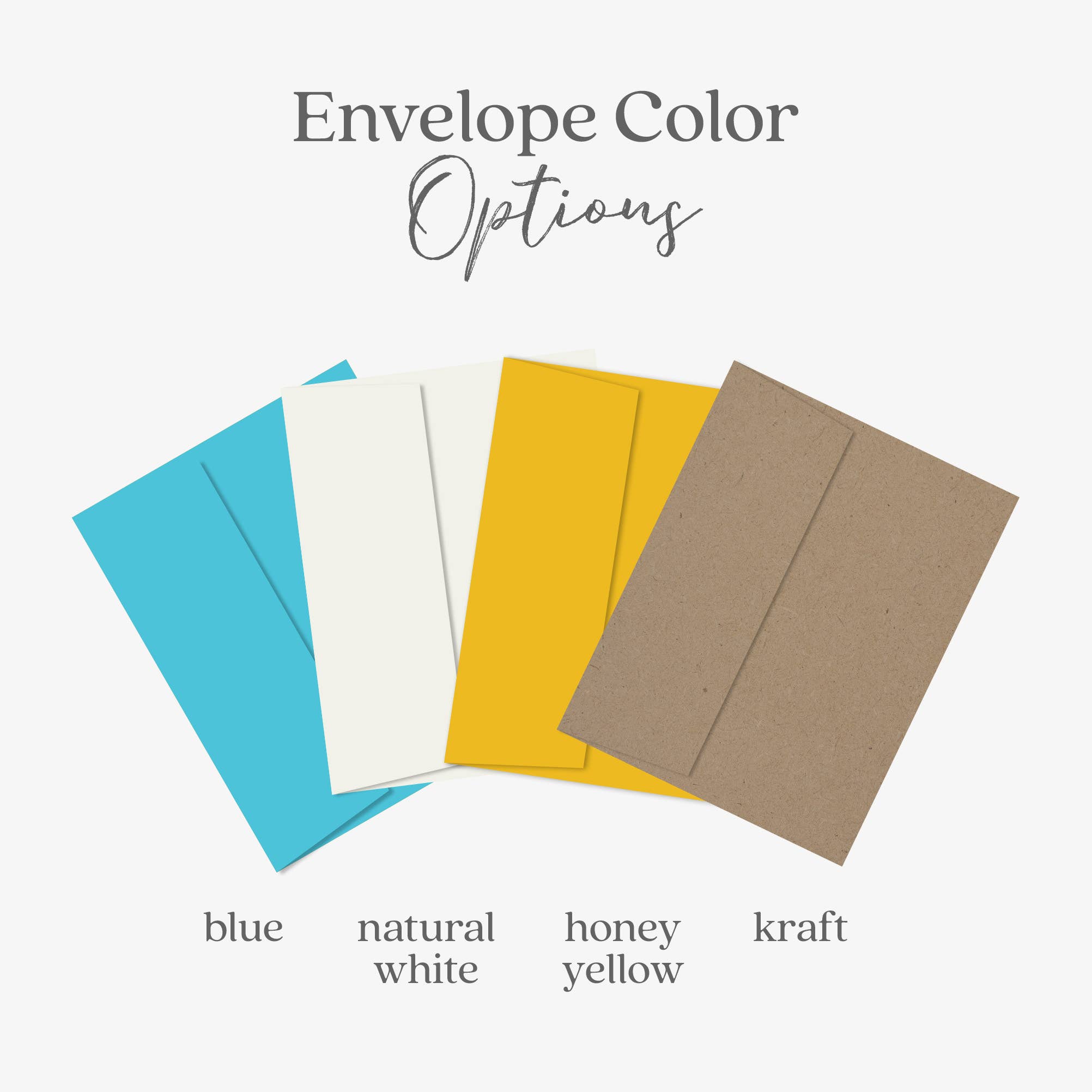 Blue Thistle - Wholesale Passover Card - Happy Passover Greeting Card, Jewish Holiday, Pesach3