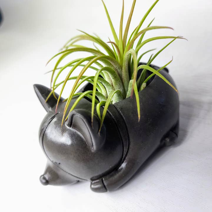 Geoform Designs - Wholesale Plant Pot - Corgi Dog Concrete Planter |Cute Pottery Animal AirPlant Pot3