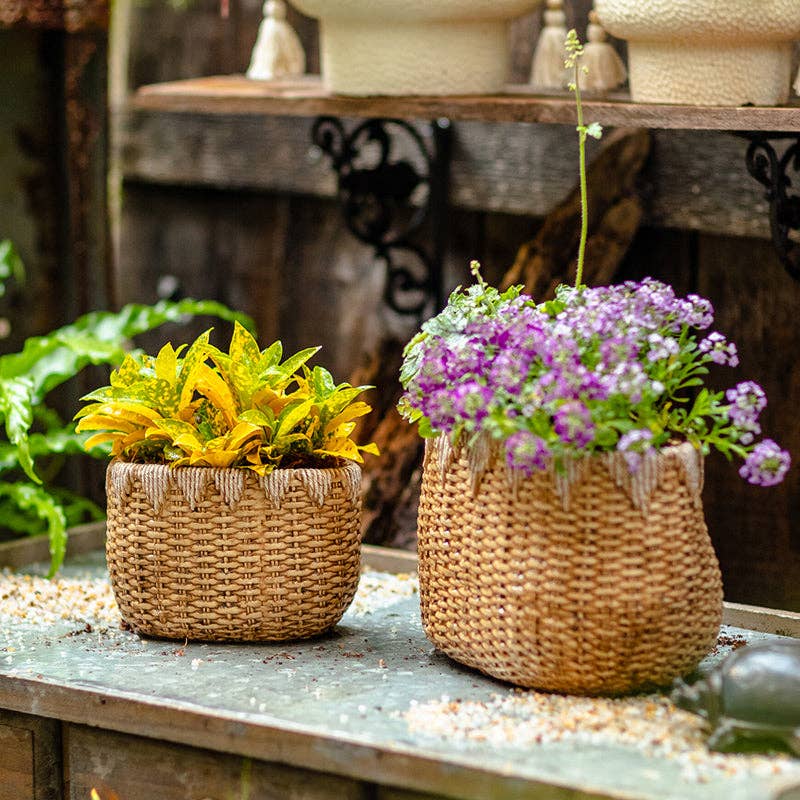 Rustic Reach - Vente Pot - Jardinière en ciment Lady Straw Basket3