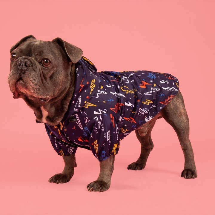 Big and Little Dogs - Wholesale Pet Raincoat - Dog - DOG RAINCOAT: Lightning Storm7
