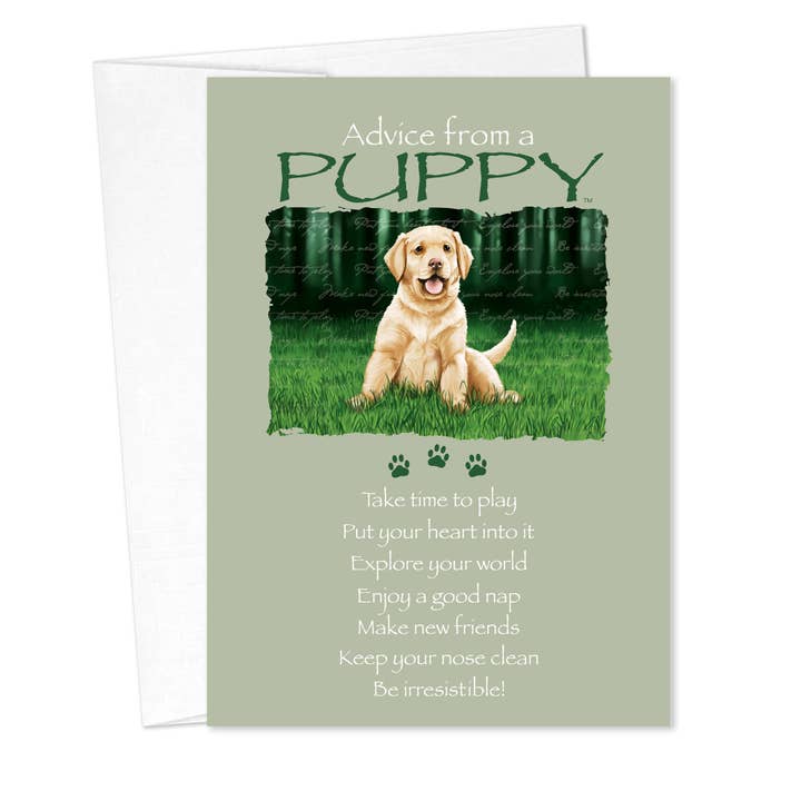 Advice from a Puppy Friendship Card for wholesale by Advice for Life by Your True Nature