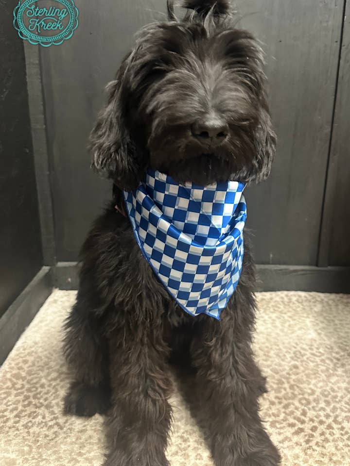 Pep Rally Wild Rag Blau für Kinder für den Großhandel von Sterling Kreek