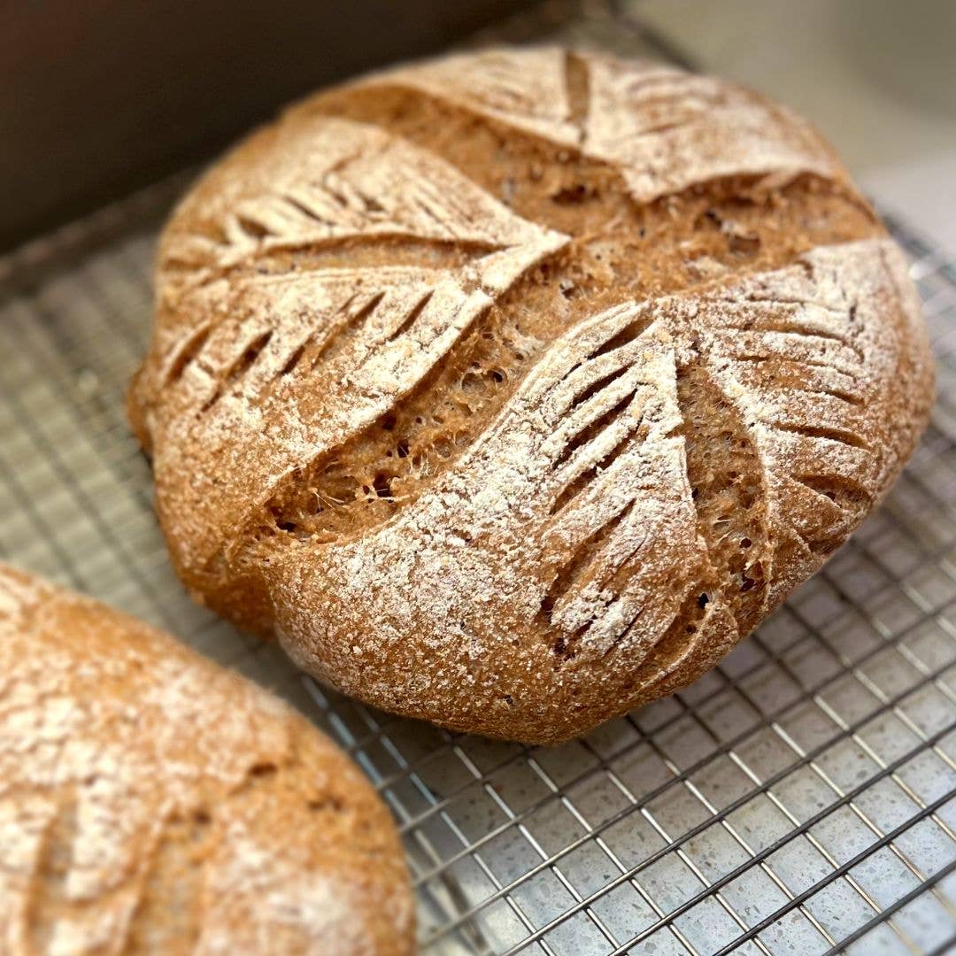 Storehouse Foods - Wholesale Bread Mix - Hard White Spring Wheat Berries4