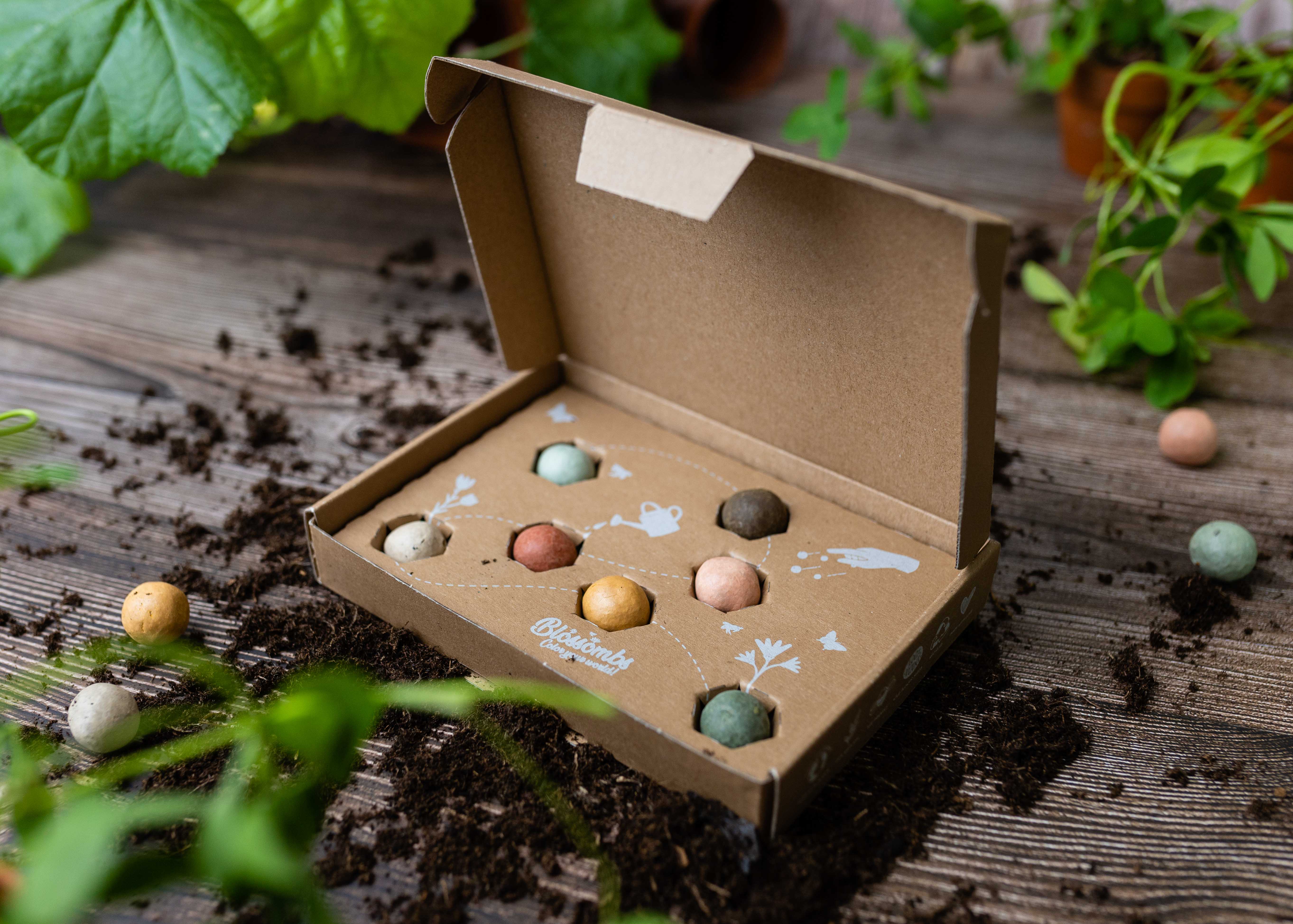 Blossombs - Wholesale Plant Seeds - Organic Gift Box "Dear Teacher" with 7 Blossombs Seed Bombs3