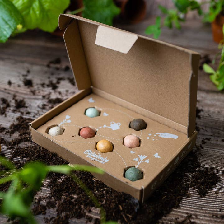Blossombs - Wholesale Plant Seeds - Organic Gift Box "Dear Teacher" with 7 Blossombs Seed Bombs3