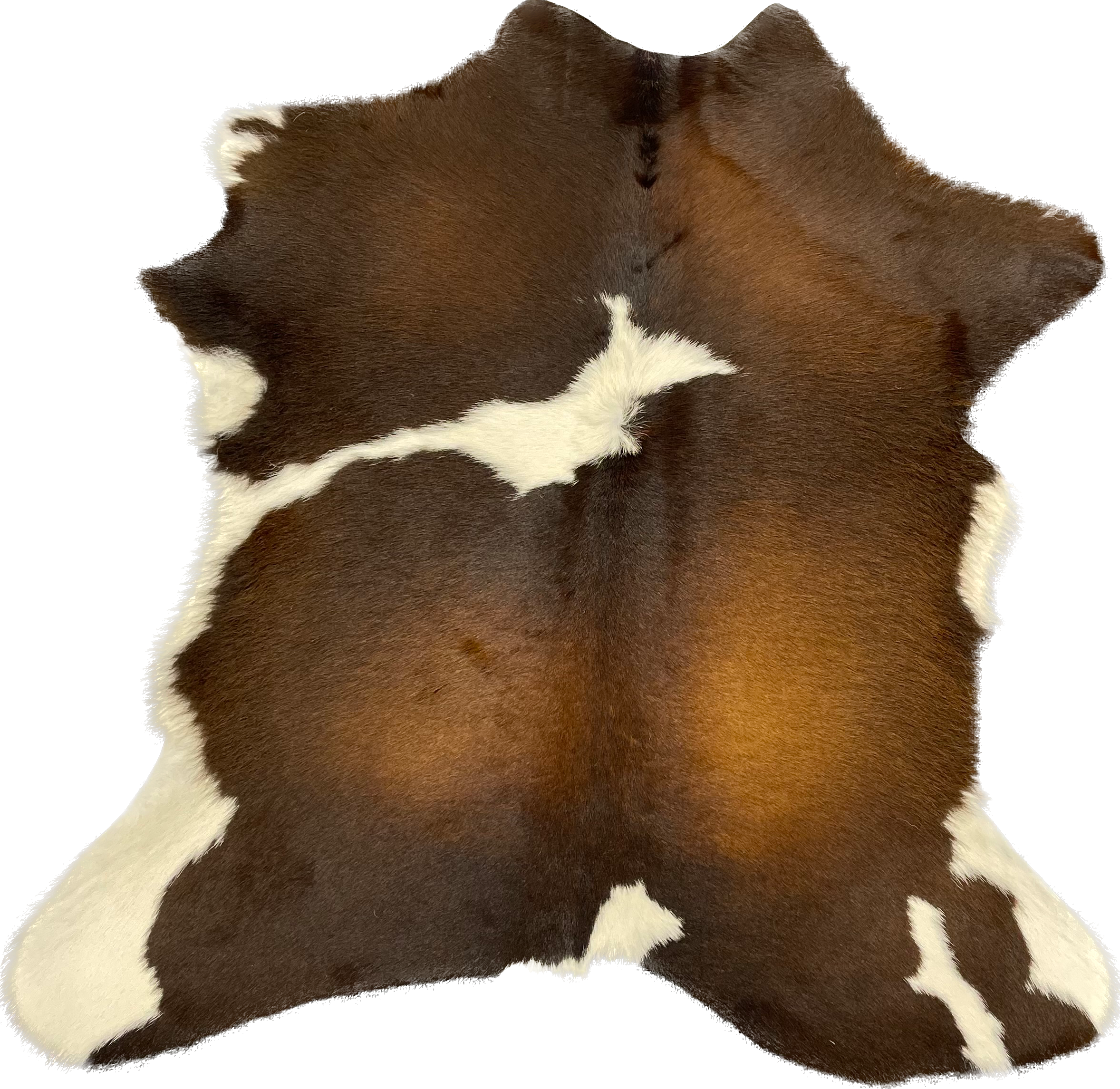 Chesterfield Leather – wholesale Matta – Brasilianskt kalvskinn med hår7