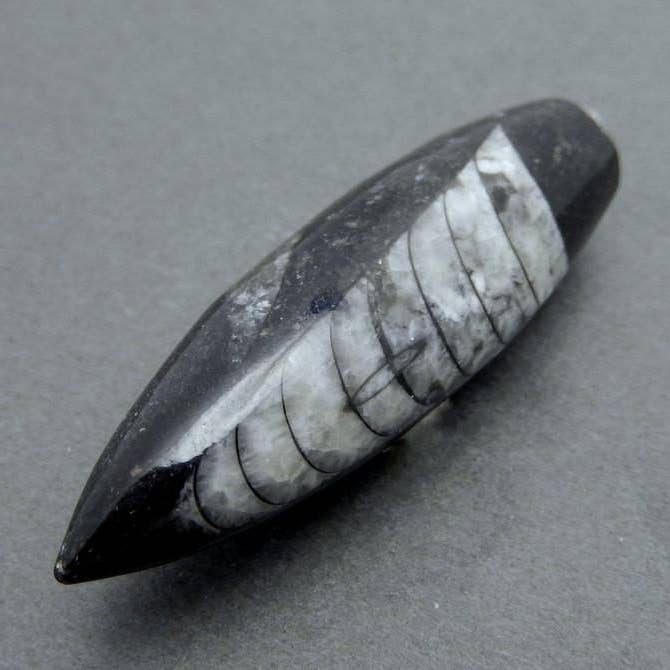 Rock Paradise - Wholesale Individual Charm/Pendant - Orthoceras Point Fossil Spike Pendant with Silver Plated Bai