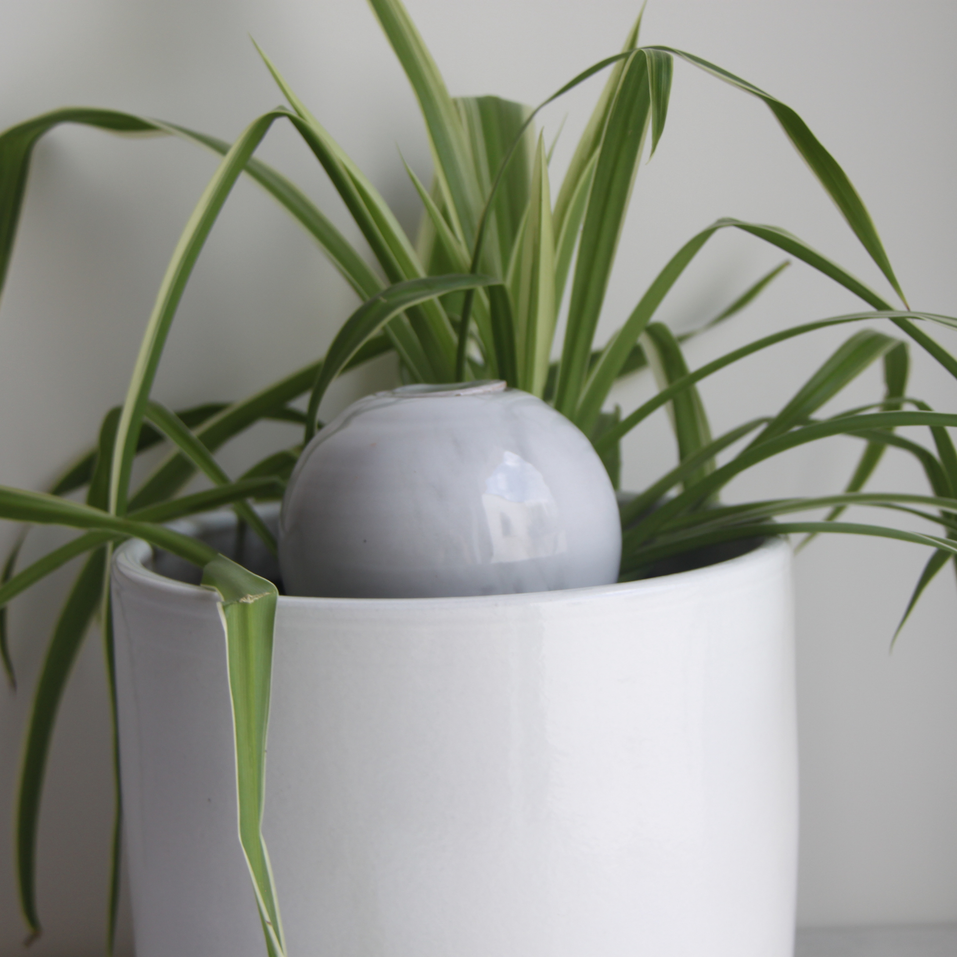 Poterie lutton - Wholesale Watering can - Marble Planter Bowls10