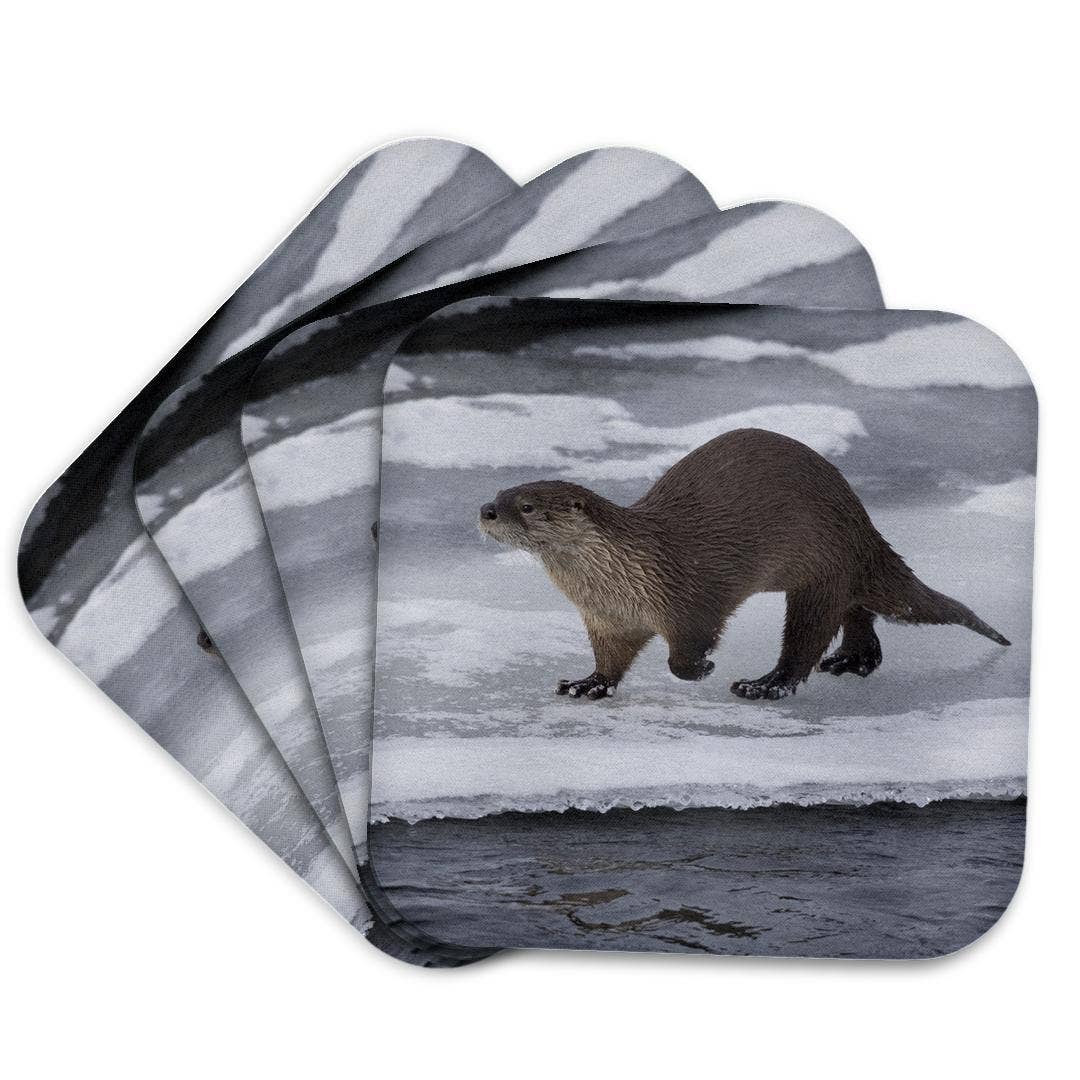 3dRose - Wholesale Coasters - 3dRose, River otter on ice, Coaster7