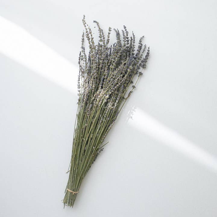 Floral Fields – wholesale Torkade/pressade blommor – Torkad lavendel, Natual Blue Bunch, 85g