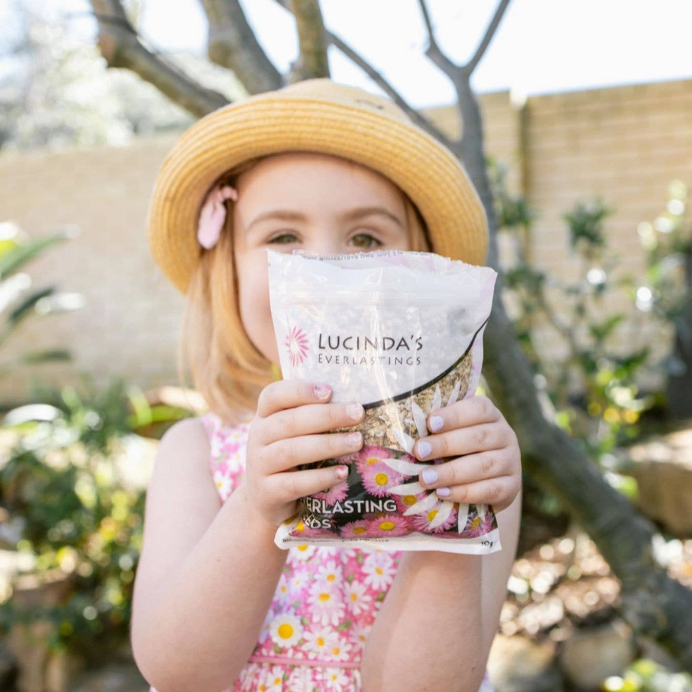 Lucinda’s Everlastings - Vendita all'ingrosso Semi di piante - Ricariche di Semi di Elicriso - Confezione da 10 g