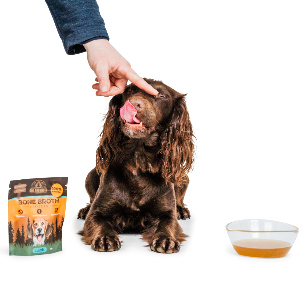 Boil and Broth - Wholesale Pet Food - Dog - Beef Bone Broth Powder for Dogs 50g (Grass Fed)7