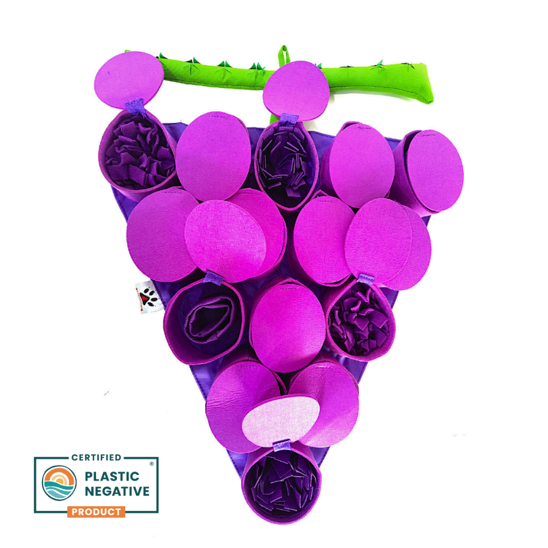 PawzNDogz - Wholesale Pet Food Mat - Dog - Forbidden Grapes ™ Snuffle Mat | Challenge Level 41