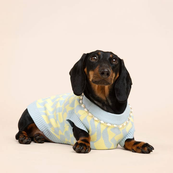 Seaside Swirl Cotton Knitted Dog Vest for wholesale by Sunbean