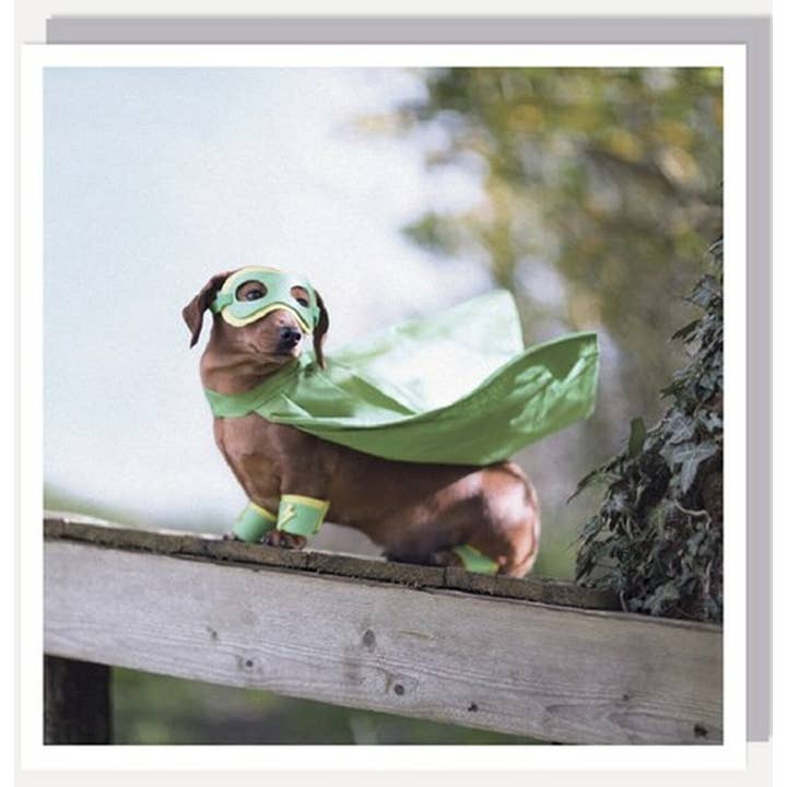 Super Dog - 6x6 Blank Greeting Card for wholesale by Nelson Line