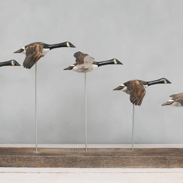 Aviologie - Wholesale Decorative Figurine - Canada Goose - Flying Set of 5 - 22"L -Carved Ornament