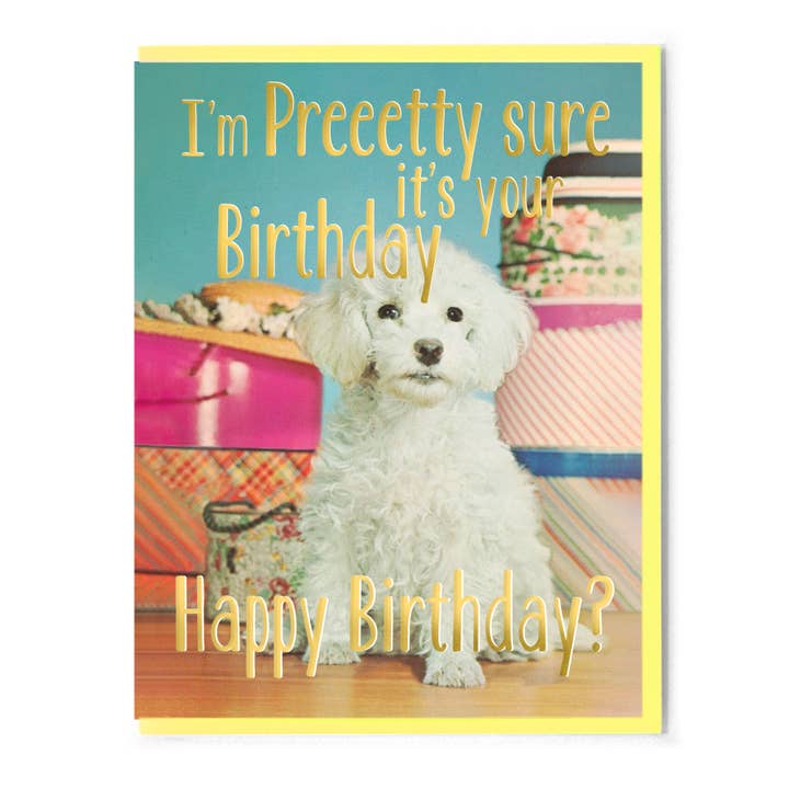 I'm Pretty Sure It's Your Birthday. Happy Birthday? Card for wholesale by Smitten Kitten