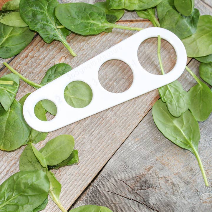Clever Contraptions - Wholesale Kitchen Tool/Gadget - Spaghetti Measure - 4 Serving Pasta Portion Control Cooking Tool