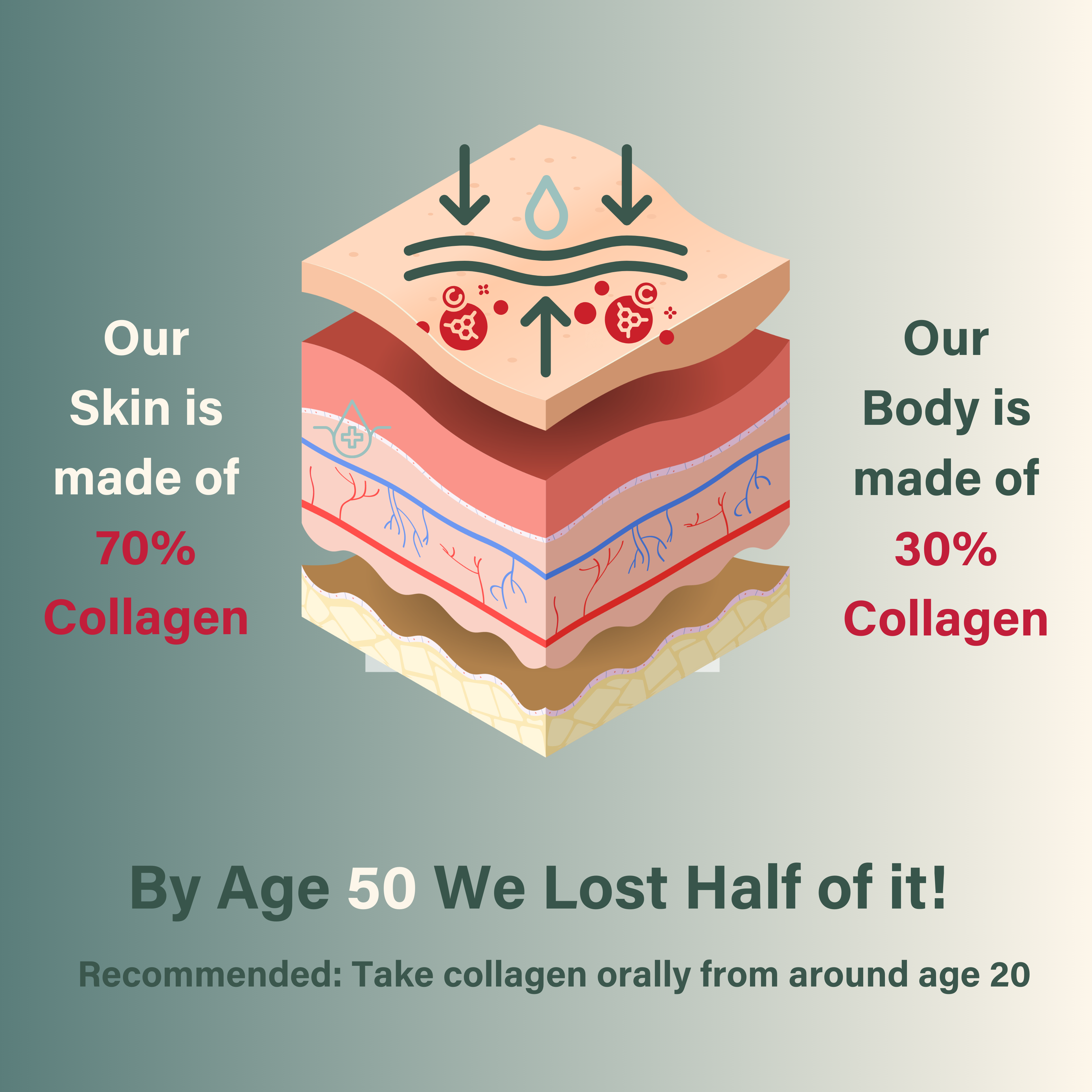 Nutri Beauties – wholesale Oral supplement/vitamin – NUTRI BEAUTIES 12,500mg Hydrolysed Marine Collagen PLUS Zinc & Retinol11