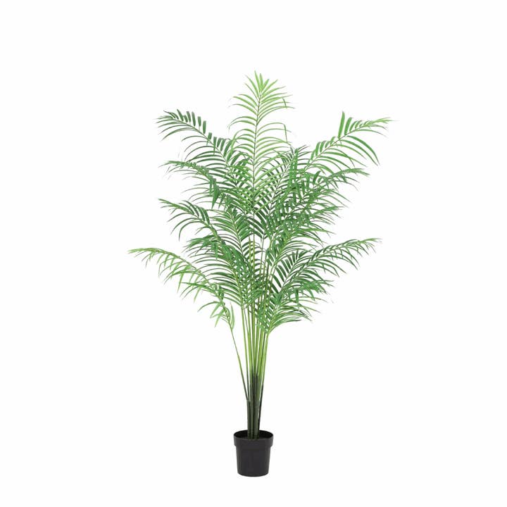 Kentia Palmier Plante Artificielle 170cm – Grand Palmier Artificiel Plante Décorative – Plante d'Intérieur Sans Entretien pour Salon Bureau & Réception pour la vente par Oasis of Life