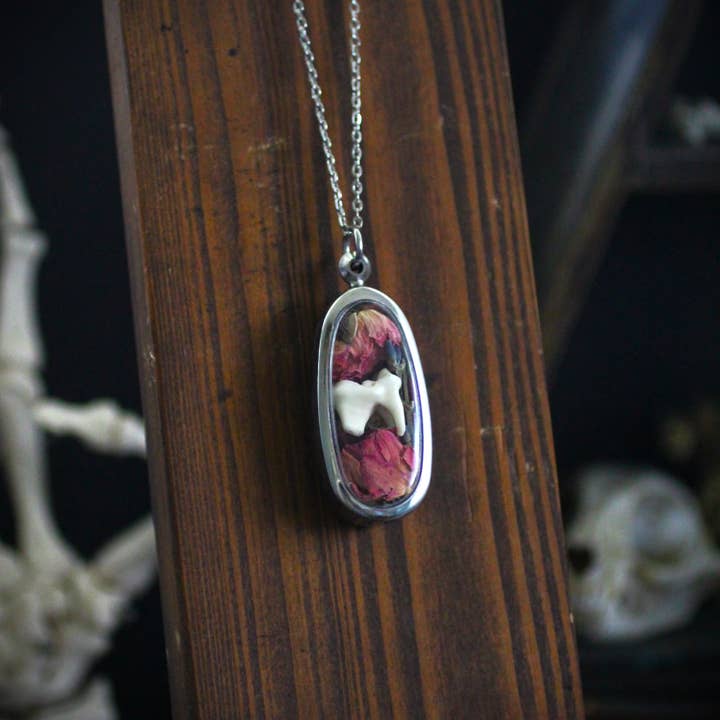 Kitty Bomb Curios - Wholesale Pendant/Charm Necklace - Bone Lockets oddity reliquary tooth window jewelry necklace