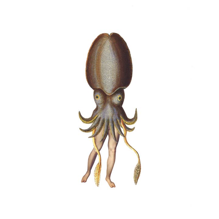 Blue Squid print for wholesale by Nature Morph