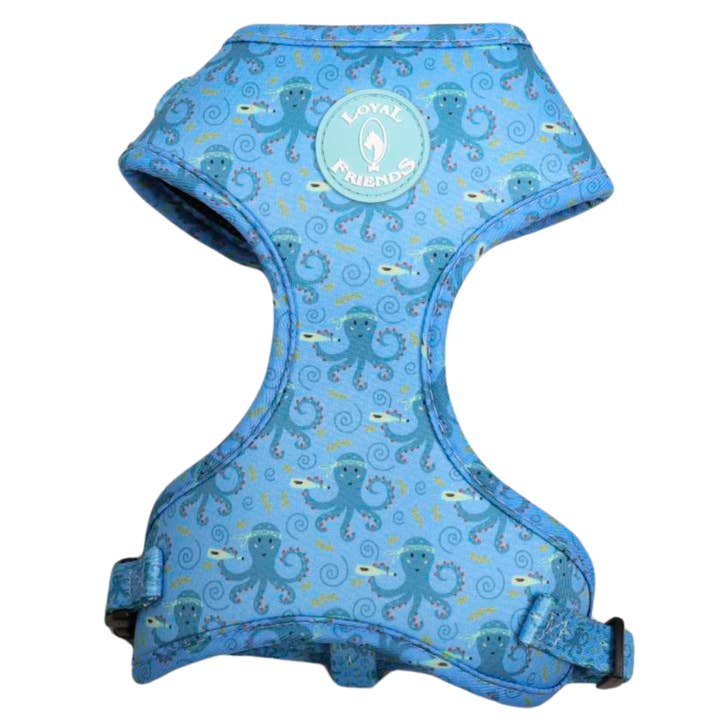 Bläckfisk, sele för wholesale av LOYAL FRIENDS