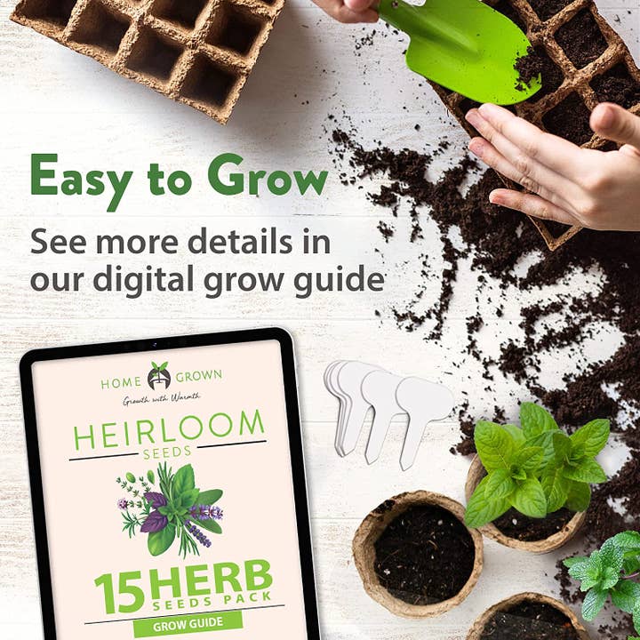 Homegrown Garden - Wholesale Plant Seeds - 15 Culinary Herb Seed Vault - Heirloom and Non GMO