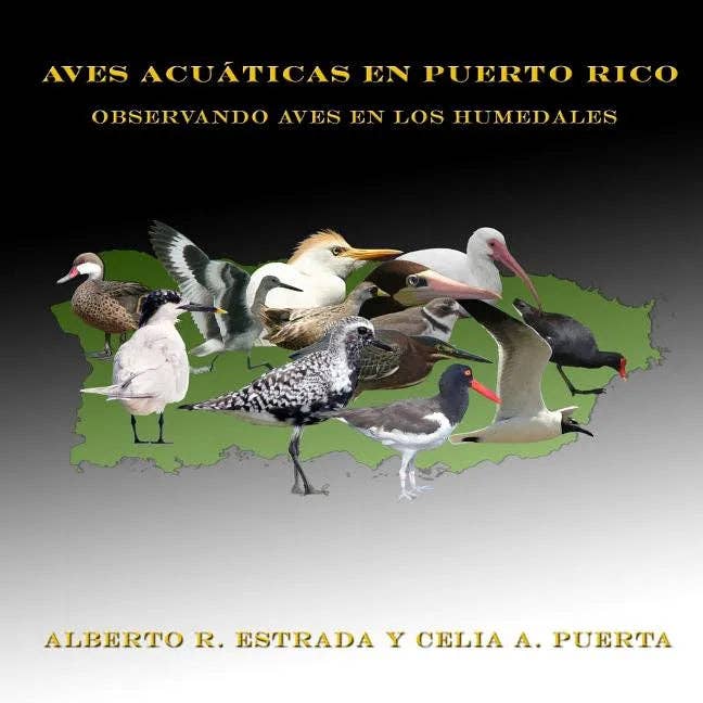 Books by splitShops - Wholesale Nature & Outdoors - Aves Acuáticas en Puerto Rico: Observando Aves en los Humedales - Paperback