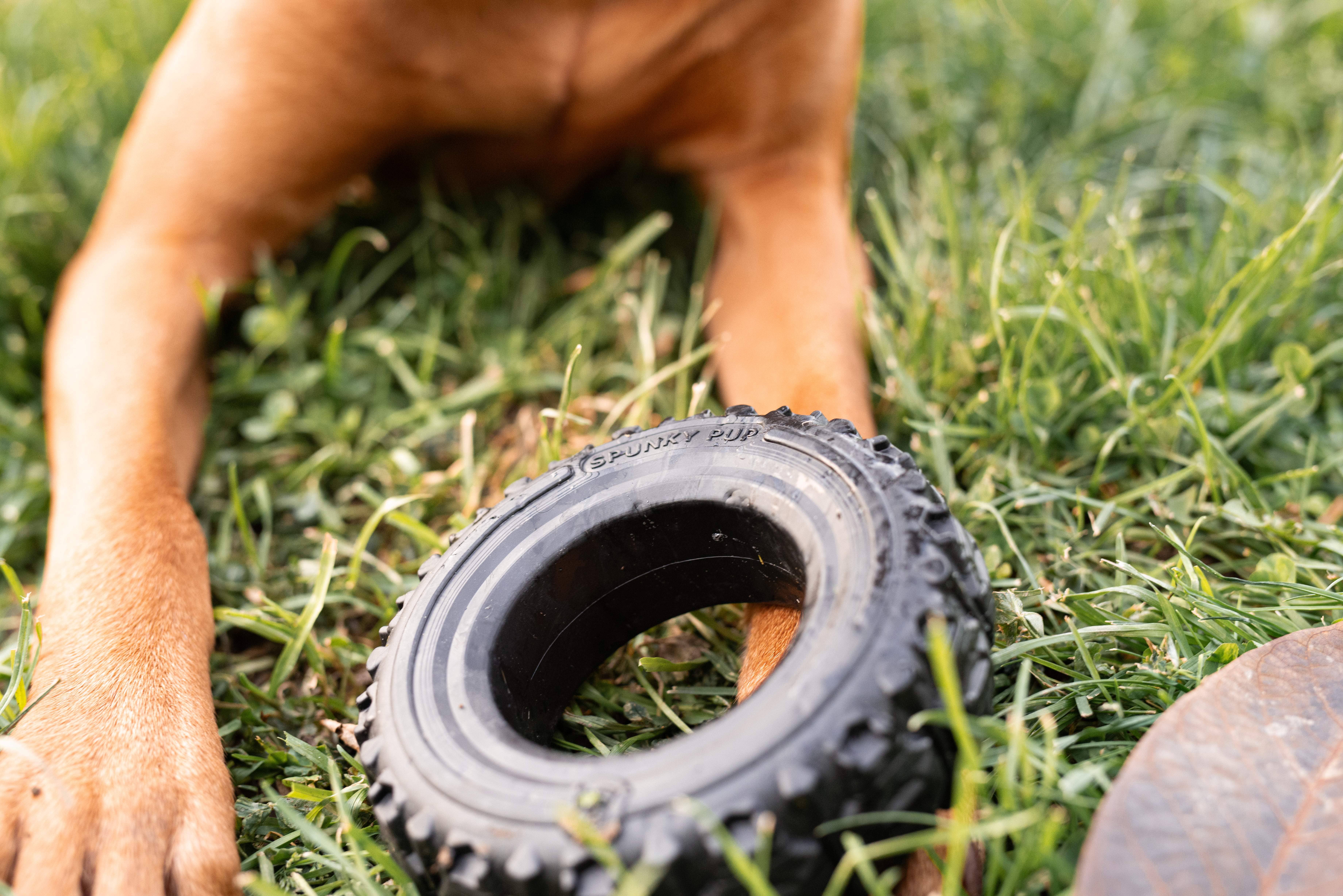 Spunky Pup - Wholesale Kauwspeeltje voor honden - Hond - The Tire - Speelgoed van gerecycled rubber - Gemaakt in de VS4