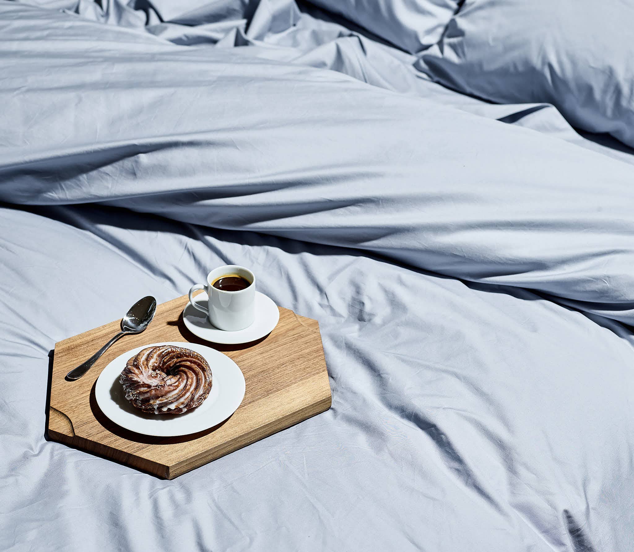 Snowe Home - Wholesale Down Comforter - Down Comforter14