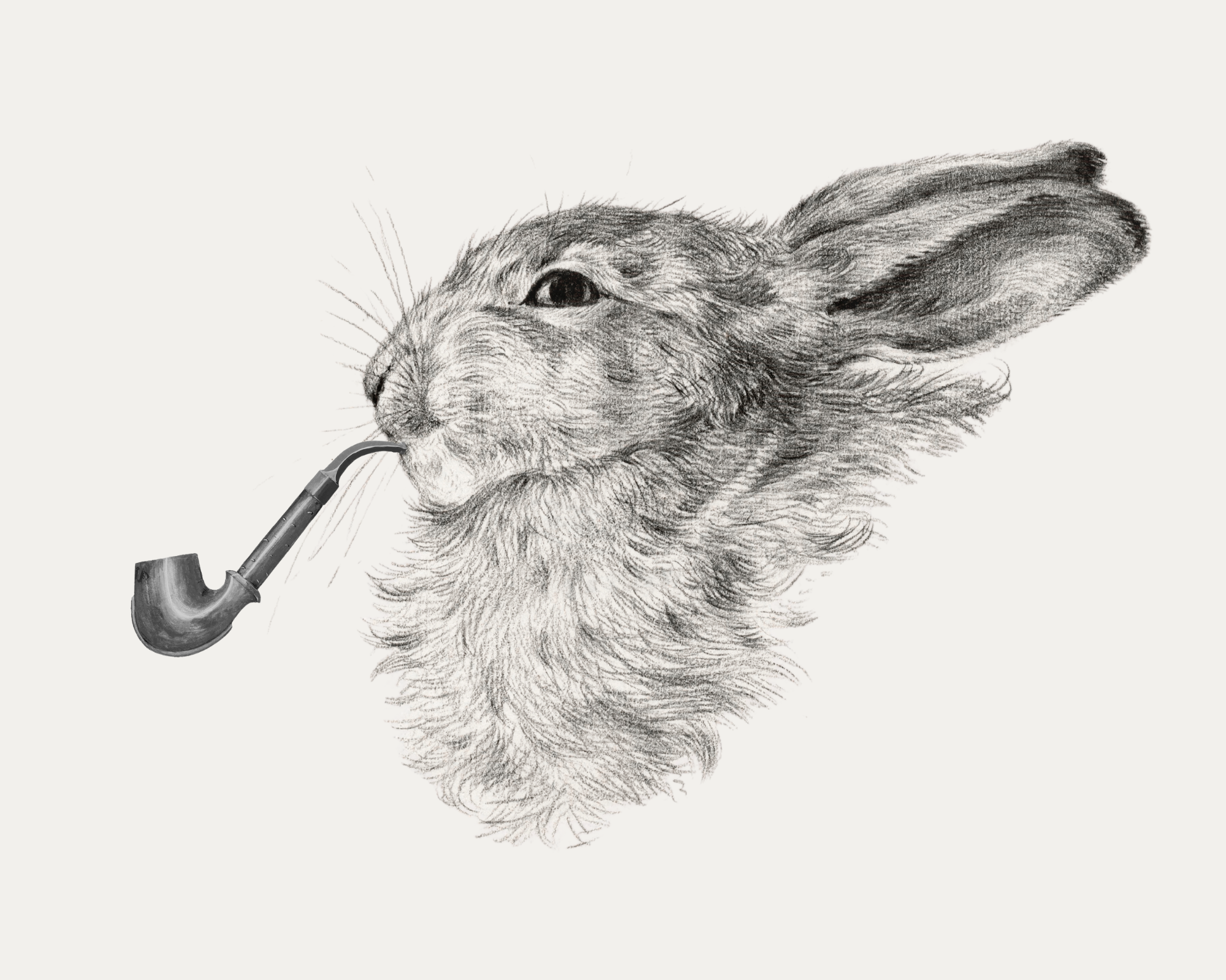 Sea to Skye - Wholesale Art Print - Mr. Gentleman Rabbit Antique Art Print1