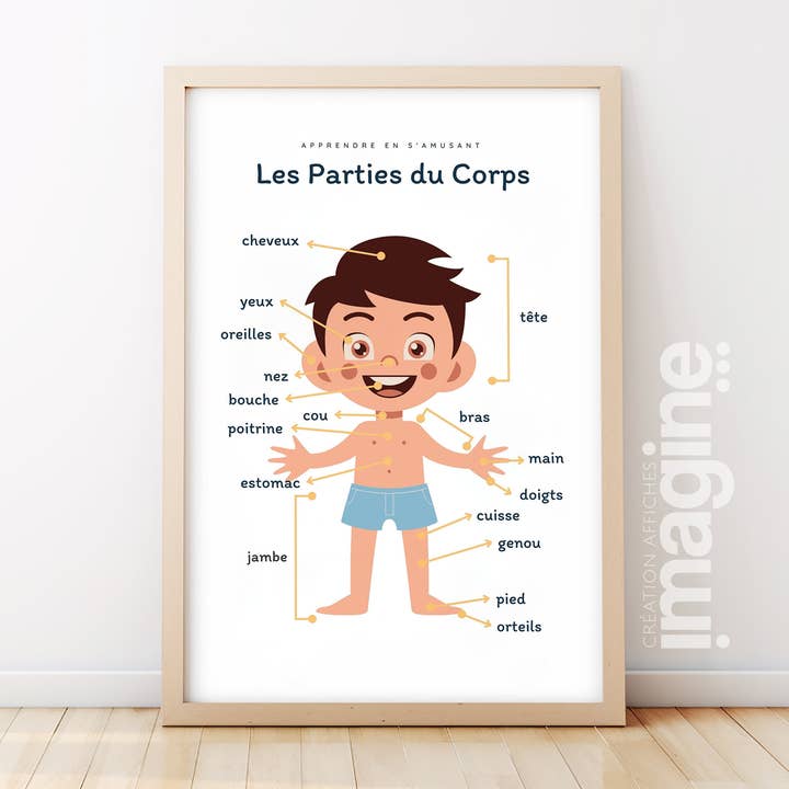 Poster para aprender peças corporais - versão para rapaz por atacado de Imagine affiche