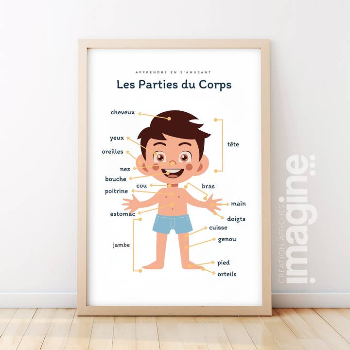 Poster para aprender peças corporais - versão para rapaz por atacado de Imagine affiche