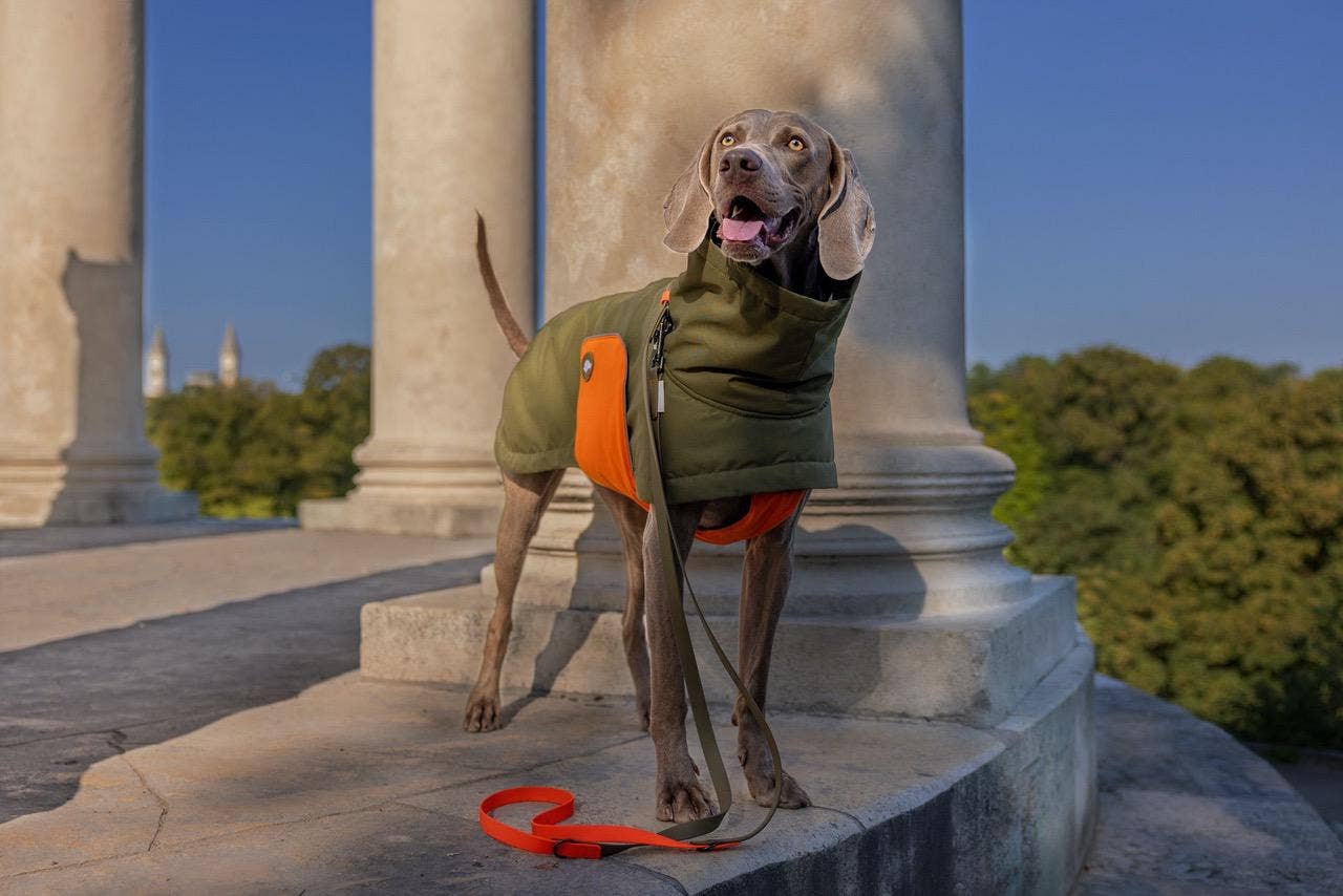 oliven Hundevinterjakke Oskar olive for engroshandel på Faire2