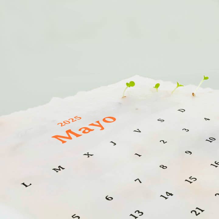 Resetea - Wholesale Calendar - Plantable Calendar
