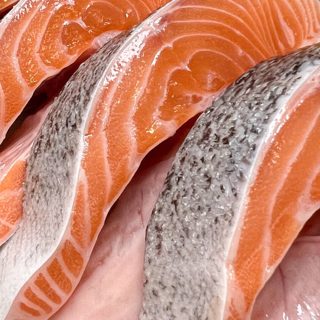 Cleo&Hooman - Wholesale Pet Treats - Dog - Salmon Says! — Superfood Pet Treats1