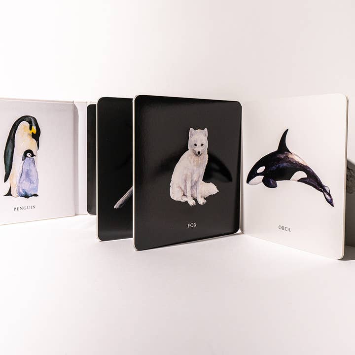 Paige Tate & Co. – Livro - Crianças por atacado – Livro de Contraste Preto e Branco para Bebé