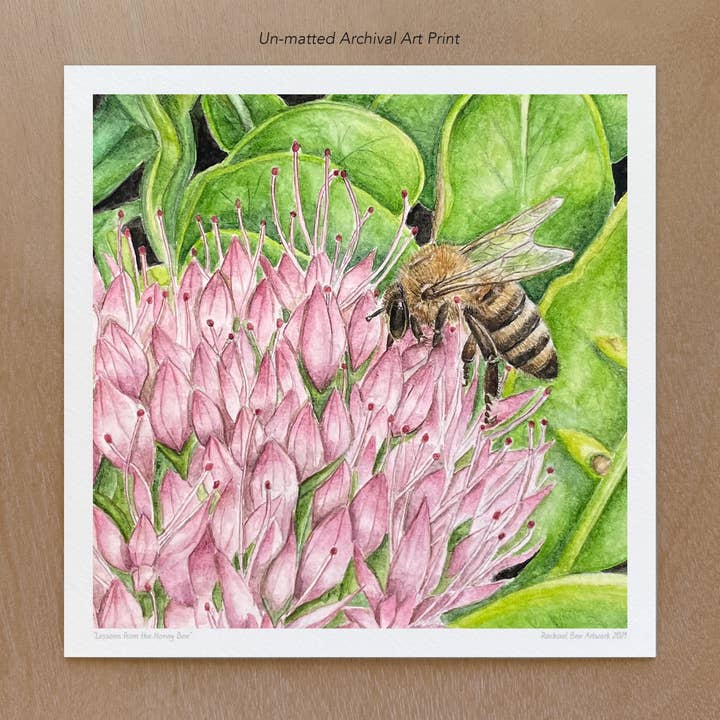 Honey Bee Art Print for wholesale by Rachael Bee Artwork