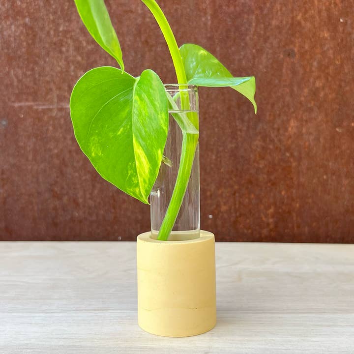 Well Hello Studio - Wholesale Vase - Earth Tone Cylinder Propagation Station1