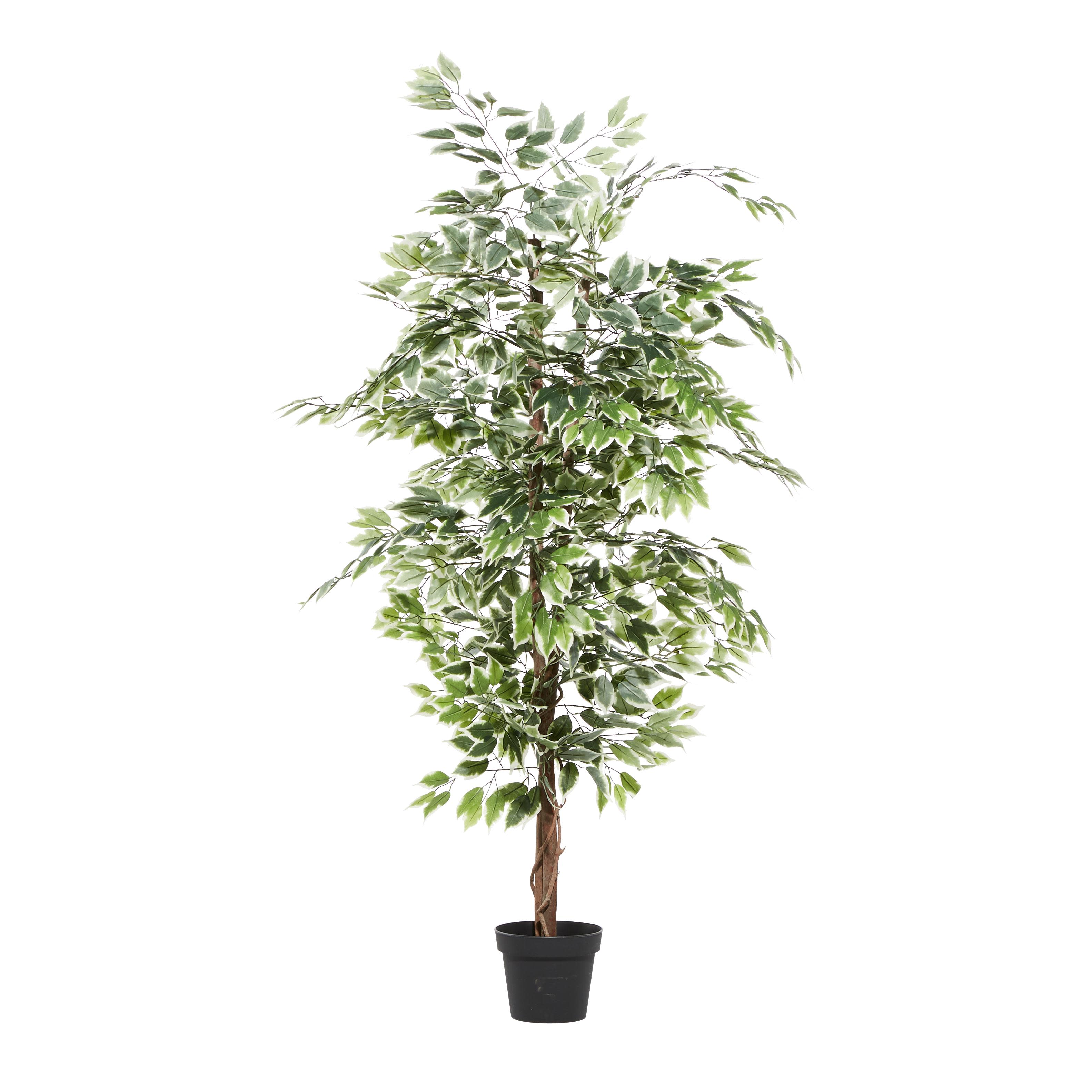 Import Corner – wholesale Artificial plant – A-88287: ARTIFICIAL FICUS TREE IN POT 73"H5