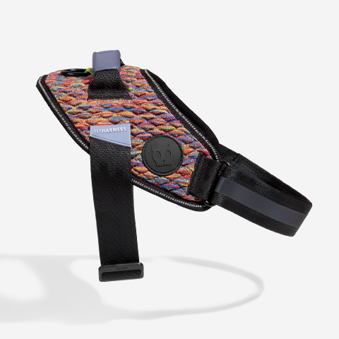 Zee.Dog - Wholesale Pet Harness - Dog - Vortex | FlyHarness5