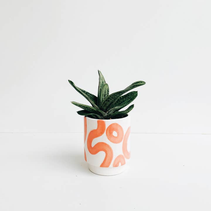 Luna Reece Ceramics - Wholesale Plant Pot - Squiggle Pots